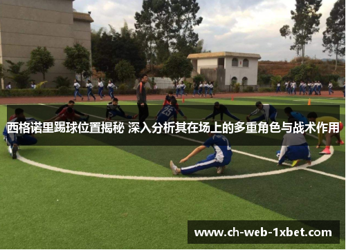 西格诺里踢球位置揭秘 深入分析其在场上的多重角色与战术作用