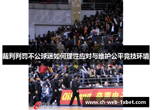裁判判罚不公球迷如何理性应对与维护公平竞技环境
