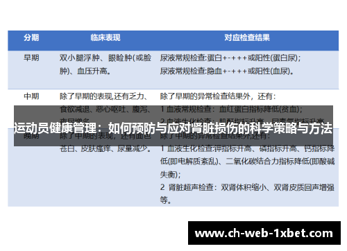 运动员健康管理：如何预防与应对肾脏损伤的科学策略与方法