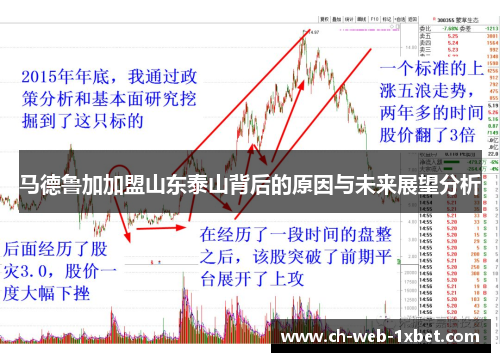马德鲁加加盟山东泰山背后的原因与未来展望分析